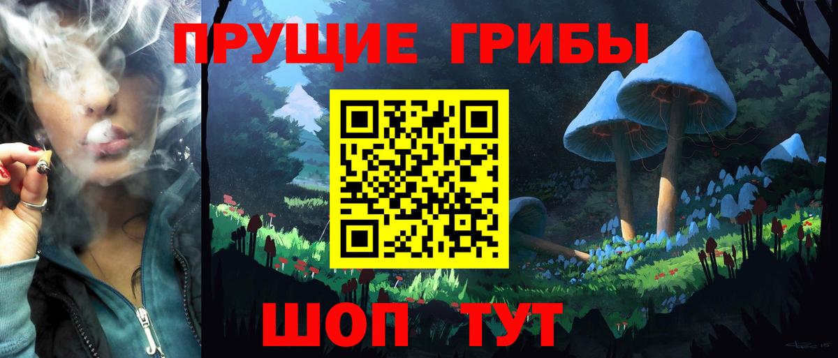 Каспийск  Галлюциногенные грибы Psilocybe  Вход с VPN  Галлюциногенные грибы GOLDEN TEACHER 