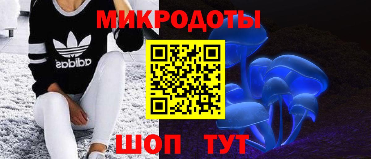Галлюциногенные грибы Psilocybine cubensis Каспийск